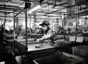 電子廠為何青睞文化較低者？背后真相與文化經紀人的新興服務